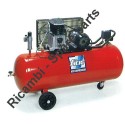 FIAC Spare Parts for Piston Air Compressor AB150/200-248 -338M