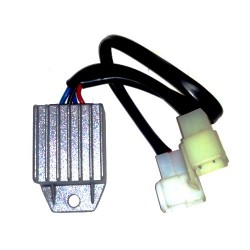 Circuito Elettronico di Controllo per Generatori Inverter 1 Kw