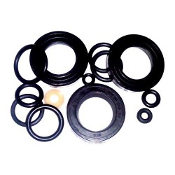 Kit OR for Pressure Washers Valex Carry 2500