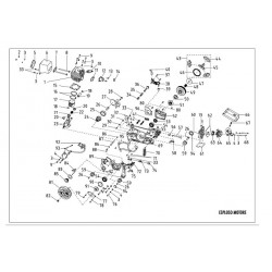 Papillon Spare Parts for Chainsaw Ranger 46
