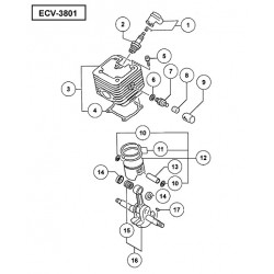 Tanaka Spare Parts for Chainsaw ECV-3801
