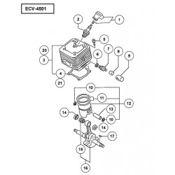 Ricambi Tanaka per Motosega ECV-4501