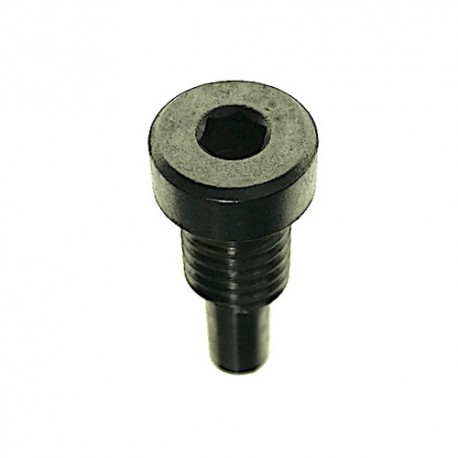 Ring Bolt for Sanders Flex WST 700 VV-WST 1000 FV