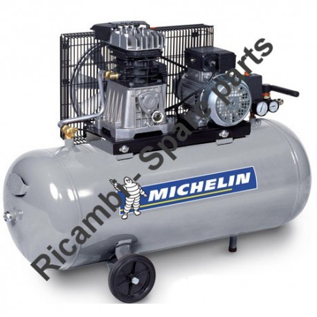 Michelin Spare Parts for Piston Air Compressor MB100
