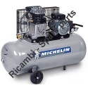 Michelin Spare Parts for Piston Air Compressor MB100