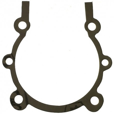 Guarnizione Carter Motore per Motopompa CM 46/N