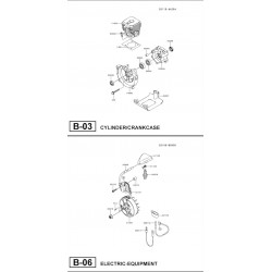 Ricambi Ama per Decespugliatore AGP 270