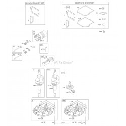Ricambi Briggs & Stratton per Motore Serie 450