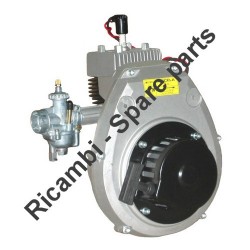 Ricambi CM Motori per Motore CM 101-125-152 Modello Standard