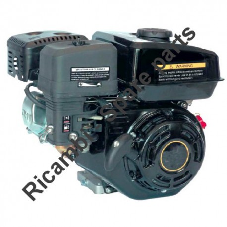 Ricambi Ama per Motore a 4 Tempi G160F
