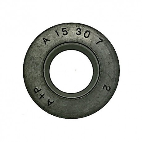Paraolio mm 15x30X7 per Atomizzatore Volpi & Bottoli Super Jolly 2002