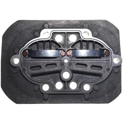 Valves Plate for Pump Unit FIAC AB 335