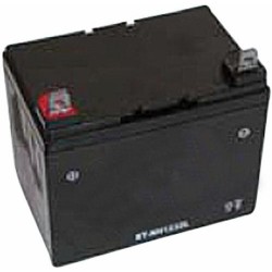 Batterie per Trattorini e Rasaerba