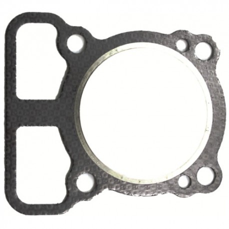 Guarnizione Testa Cilindro per Motori Briggs & Stratton 793455