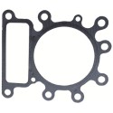 Guarnizione Testa Cilindro per Motori Briggs & Stratton 273280S