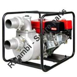 Ricambi Valex per Motopompa a Scoppio MP62000