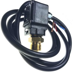 Pressure Switch 30 Bar for Washers Annovi & Reverberi AR7850/7870