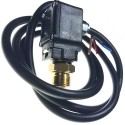 Pressure Switch 30 Bar for Washers Annovi & Reverberi AR7850/7870