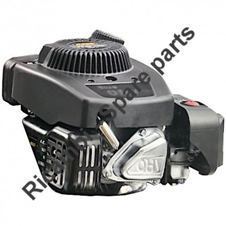 Alpina Spare Parts for Engine RSCT 100 OHV