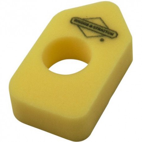Filtro Aria in Spugna per Motore Briggs & Stratton Serie 450