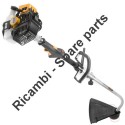 Ricambi Alpina per Decespugliatore TR 250 J