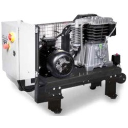 Gruppo Pompante per Compressore con Trasmissione a Cinghia EBS 998