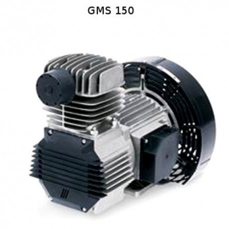 Gruppo Pompant per Compressore Senza Olio Fiac GMS 150