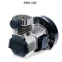 Gruppo Pompant per Compressore Senza Olio Fiac GMS 150