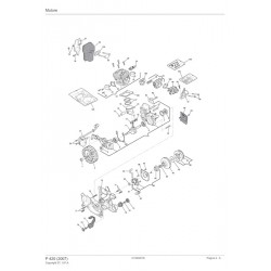 Ricambi Alpina per Motosega P 420
