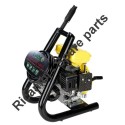 Lavor Parts for Petrol Engine Pressure Cleaner Independent 1900