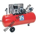 FIAC Spare Parts for Piston Air Compressor AB200/338