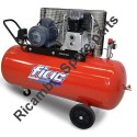FIAC Spare Parts for Piston Air Compressor AB 300-678 F