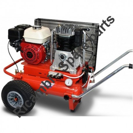 Ricambi Fiac per Motocompressore Agri 65 1447730000-2008