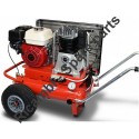 Ricambi Fiac per Motocompressore Agri 65 1447730000-2008