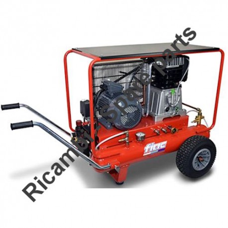 FIAC Spare Parts for Piston Air Compressor Pony AB 858