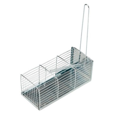 Trappola a Galleria Pet 101