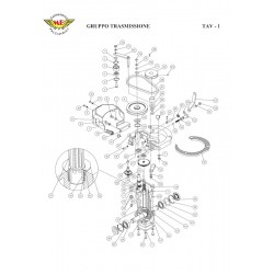 Ricambi Meccanica Benassi per Motozappatrice RL 3 [1+1]