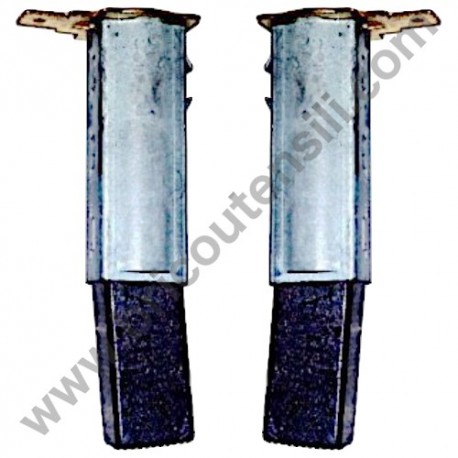 Kit Carbon Brushes for Pressure Washers Blue Clean AR142-AR260