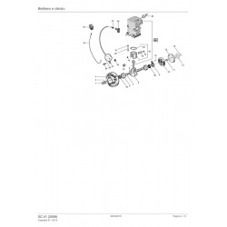 Castelgarden Spare Parts for Chaisaw XC 41 (2009) 222516003/04