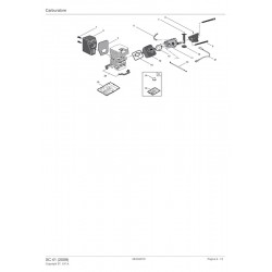Castelgarden Spare Parts for Chaisaw XC 41 (2009) 222516003/04
