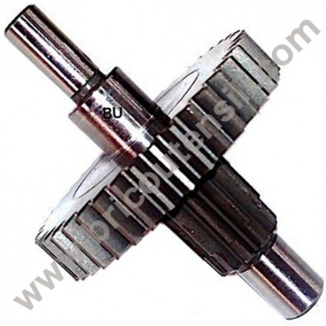 Gruppo Ingranaggio Dritto per Segatrici a Nastro Femi 780-781-782-783