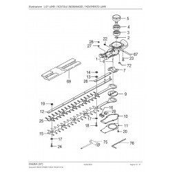 Ricambi Hitachi per Tosasiepe CH62EA (ST)
