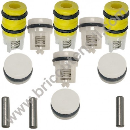Kit LW Intake Delivery Valves for High Pressure Washer ARMY 110