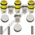 Kit LW Intake Delivery Valves for High Pressure Washer ARMY 110