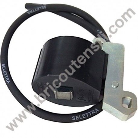 Bobina Accensione Elettronica per Motori CM 25-46-80-90
