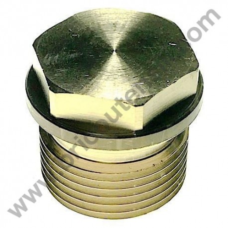 Plug 1/2'' Gas for Pressure Washers AR Blue Clean and Farmer's Division