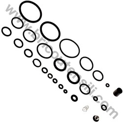 Kit O-Ring for Pressure Washers AR Farmer's Division BLITZ-COMFORT-S