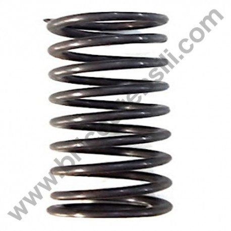 Piston Spring for Pressure Washers AR Wash Top 100 T-EXTREME 150 TSS