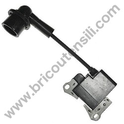 Bobina Elettronica per Decespugliatore Papillon Power 43E