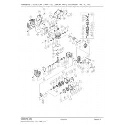 Hitachi Spare Parts for Engine Brush Cutter CG22EAB